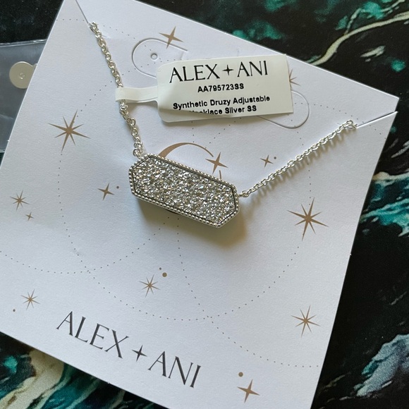 Alex and Ani Jewelry - NWT Alex and Ani Druzy Pendant Necklace